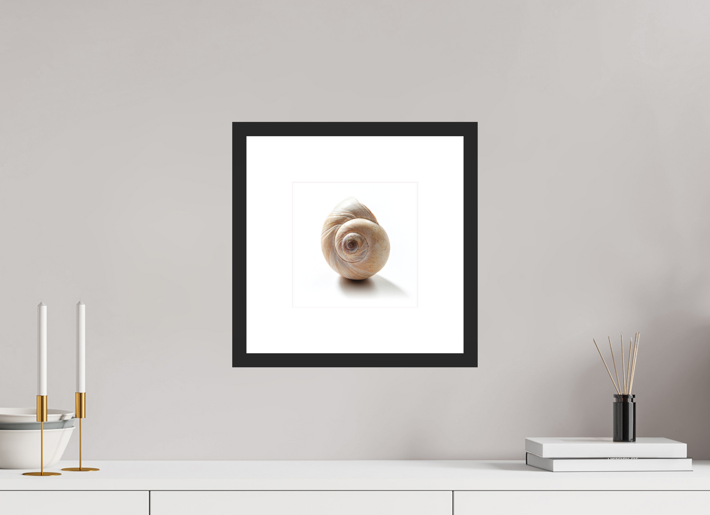 8 x 8″, Solid 0.8" Black Wood Frame With 3" Natural White Passe-Partout with Museum Glass Large Sea Shell