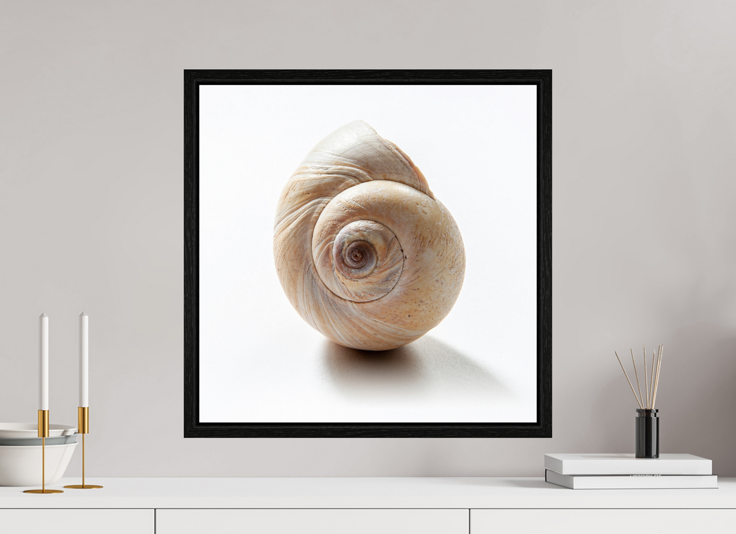 20 x 20″, Floater Frame Large Sea Shell