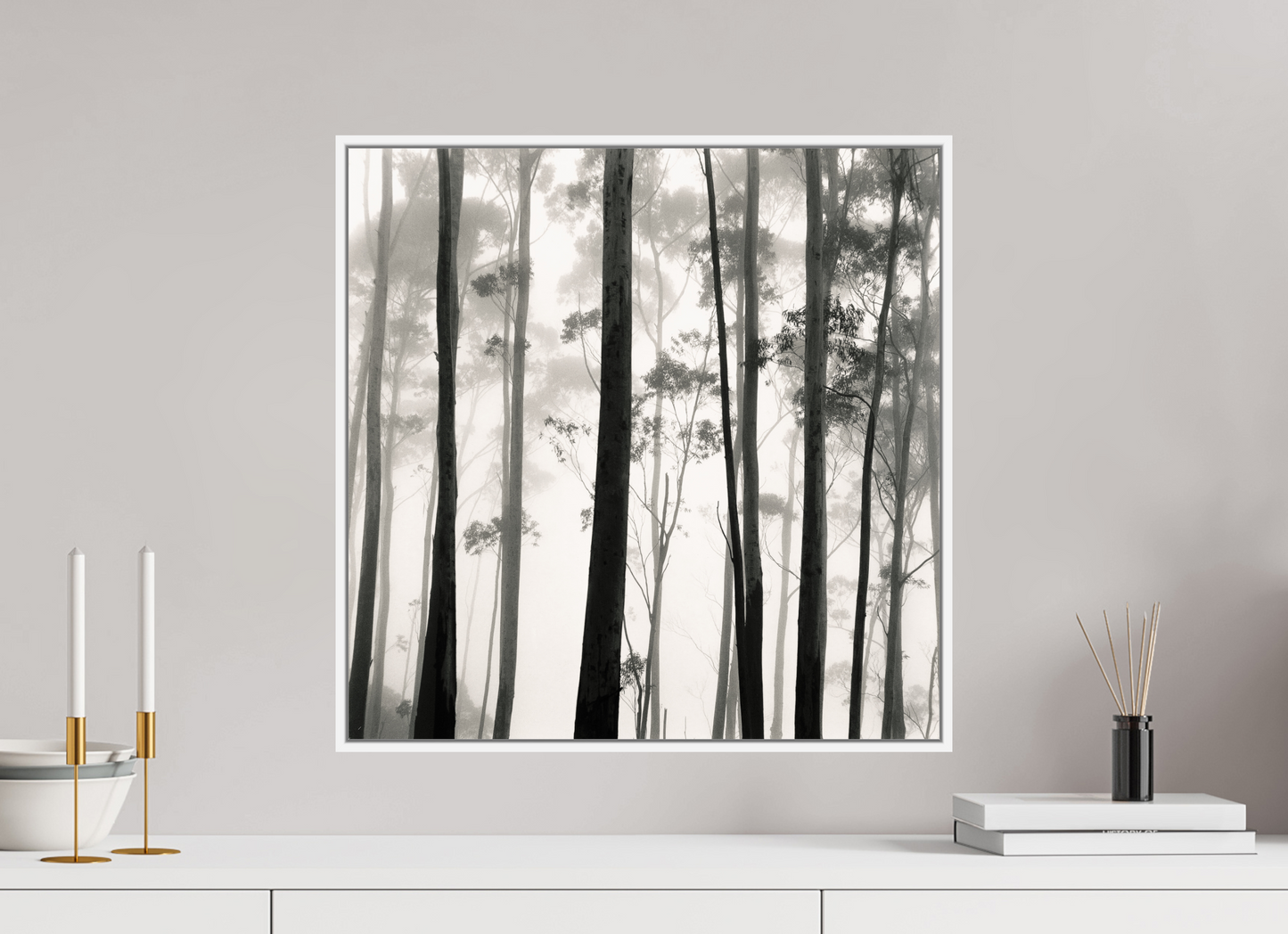 Tilba Tilba Trees, Austrailia