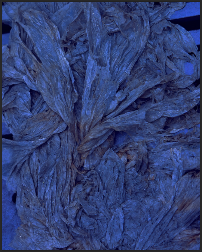 Main image Plastic Bags