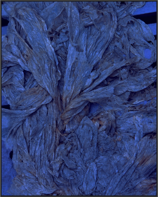 Main image Plastic Bags