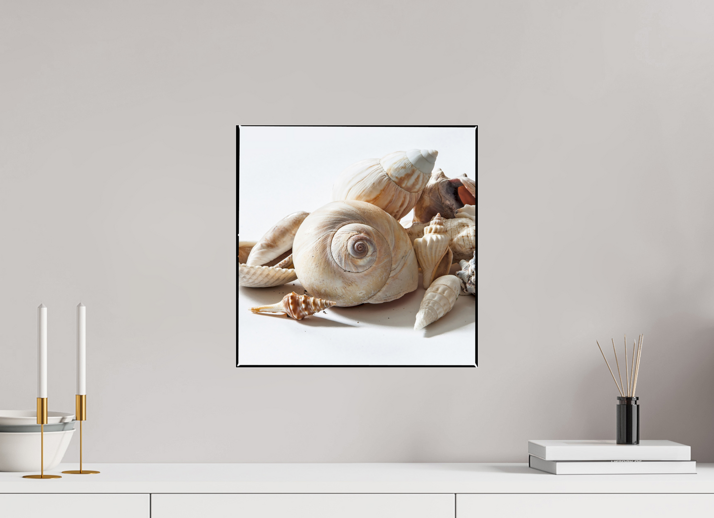 15 x 15″, Frameless Acrylic Glass Sea Shells