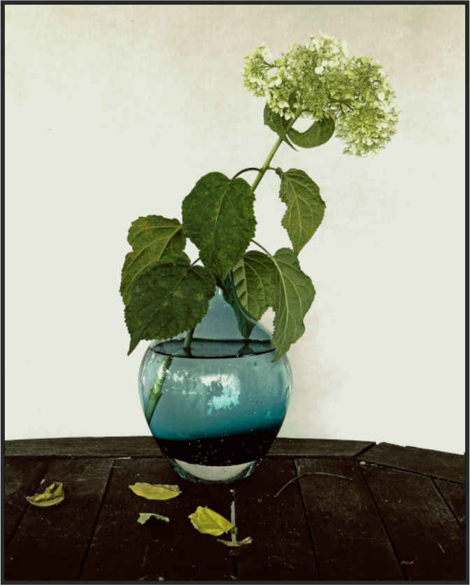 Flower in Vase on Table