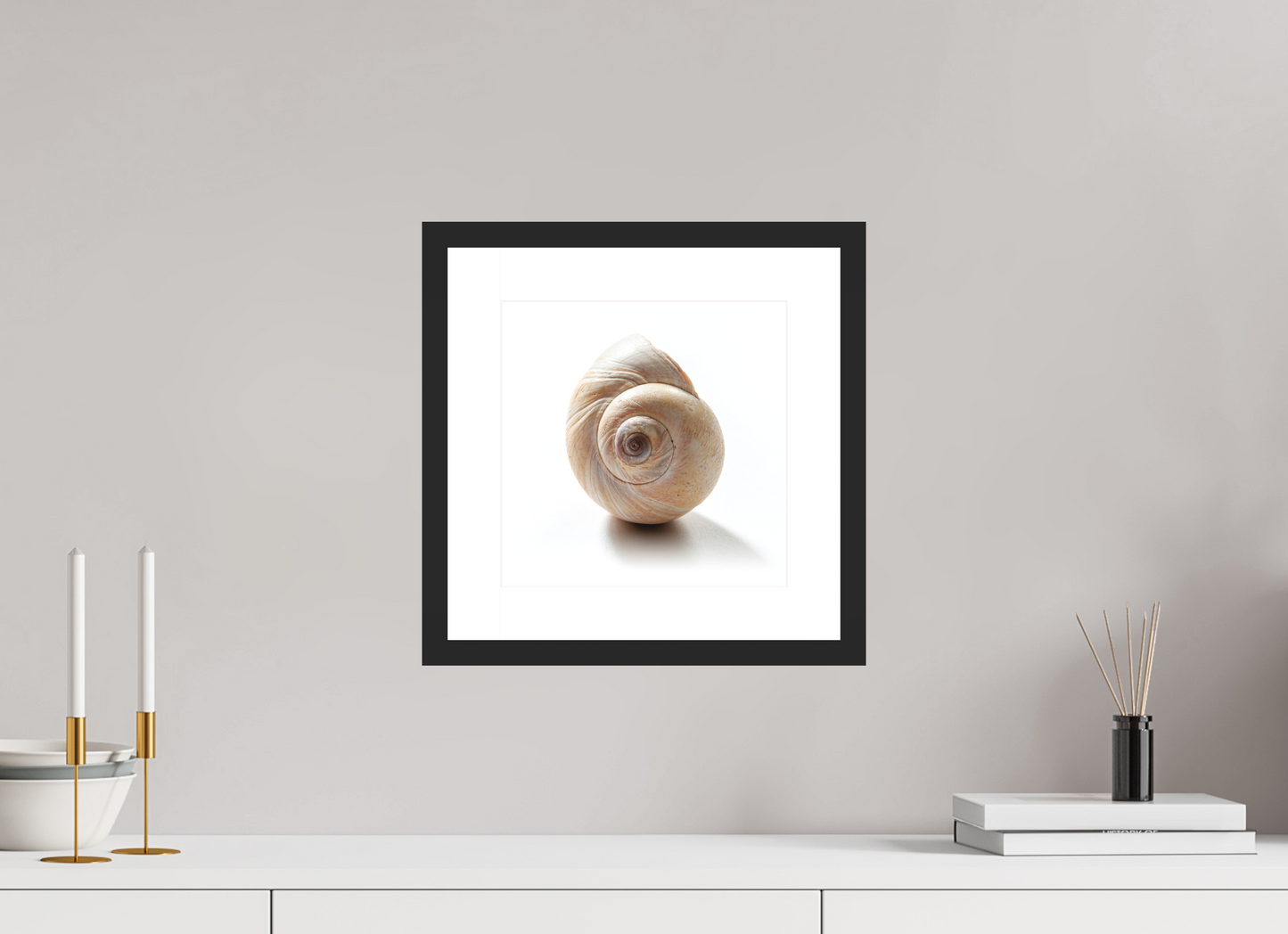 10 x 10″, Solid 0.8" Black Wood Frame With 2" Natural White Passe-Partout with Museum Glass Large Sea Shell