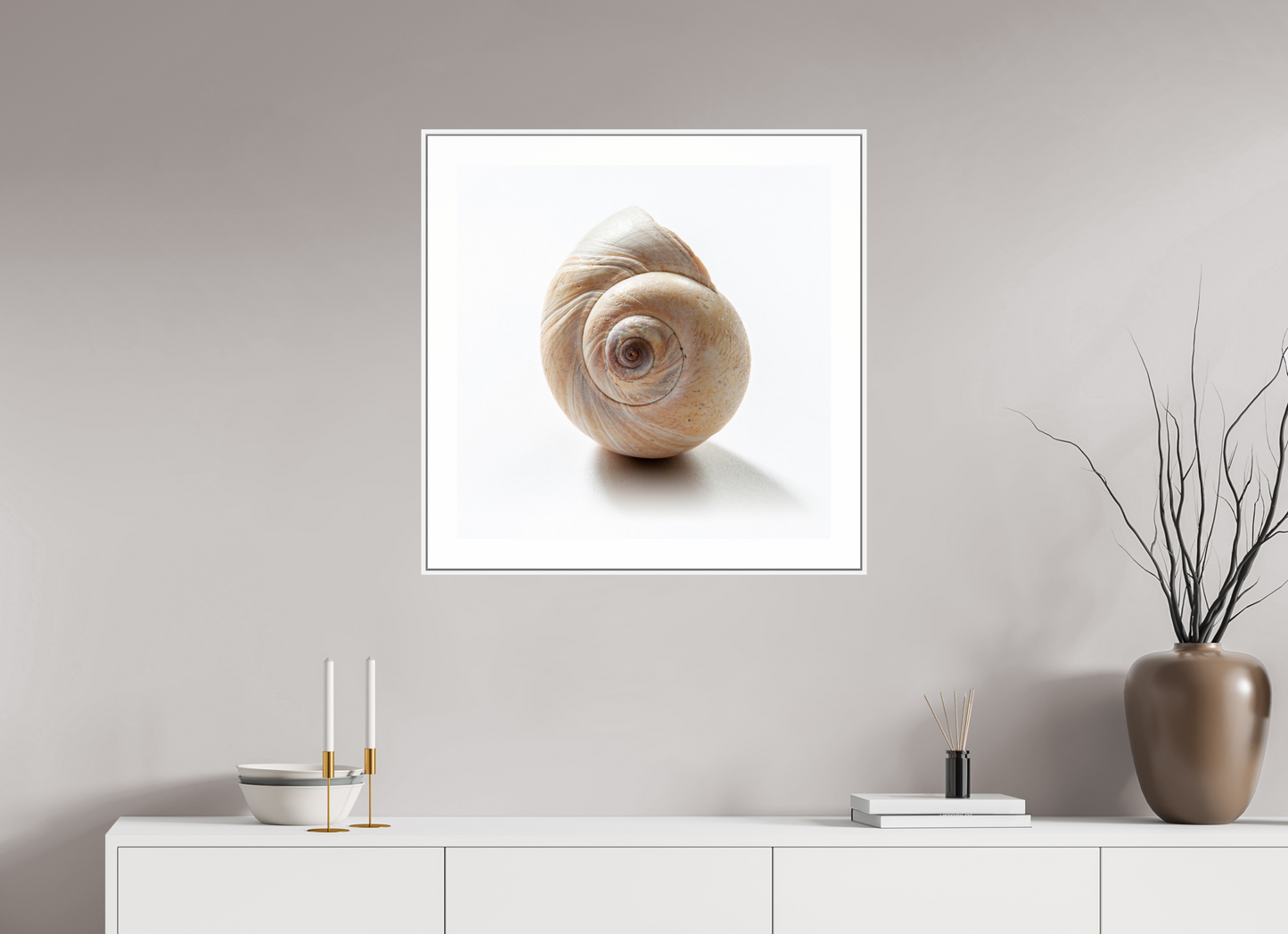 25 x 25″, White Matte Frame Large Sea Shell