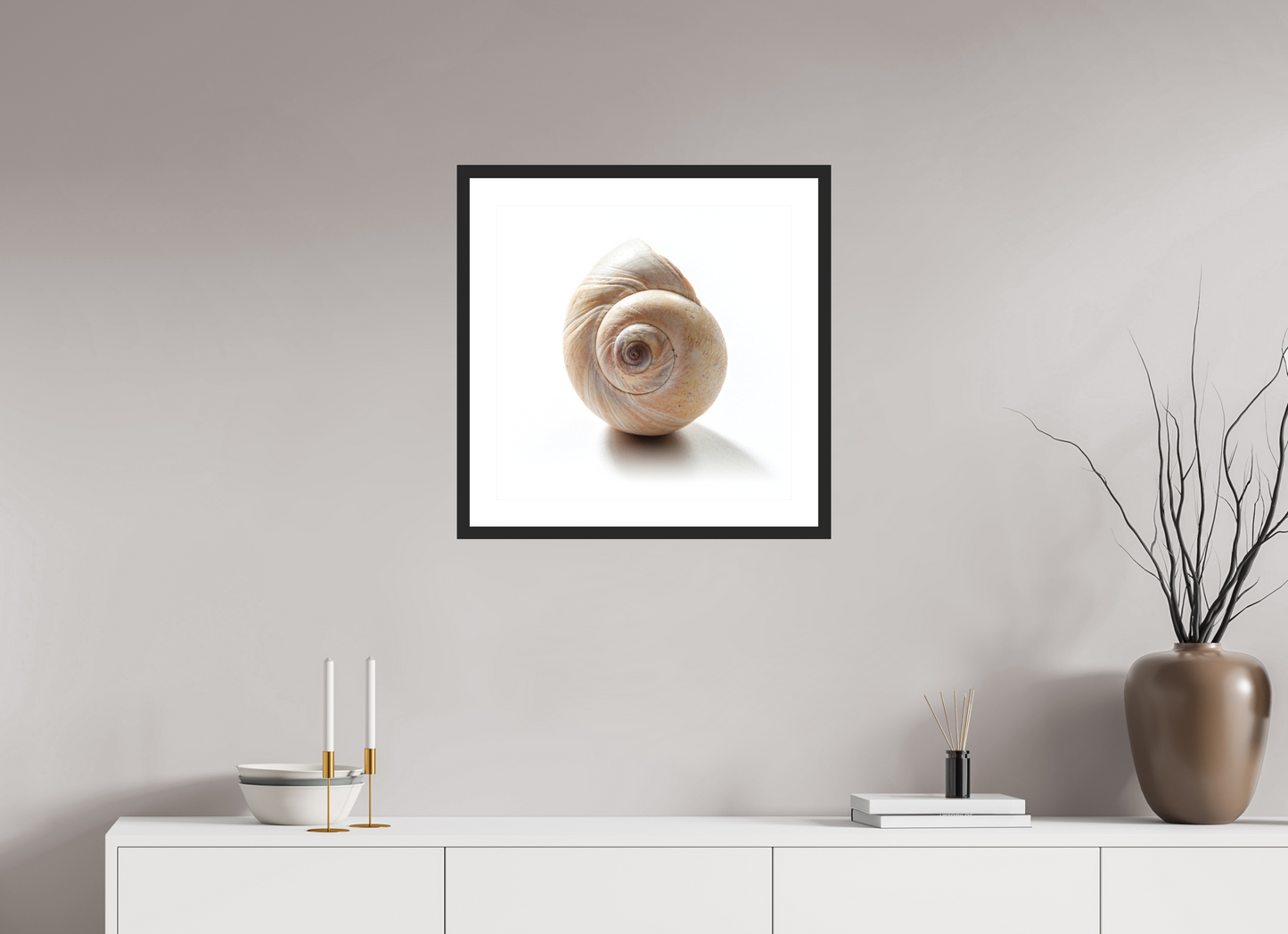 20 x 20″, Solid 0.8" Black Wood Frame With 2" Natural White Passe-Partout with Museum Glass Large Sea Shell