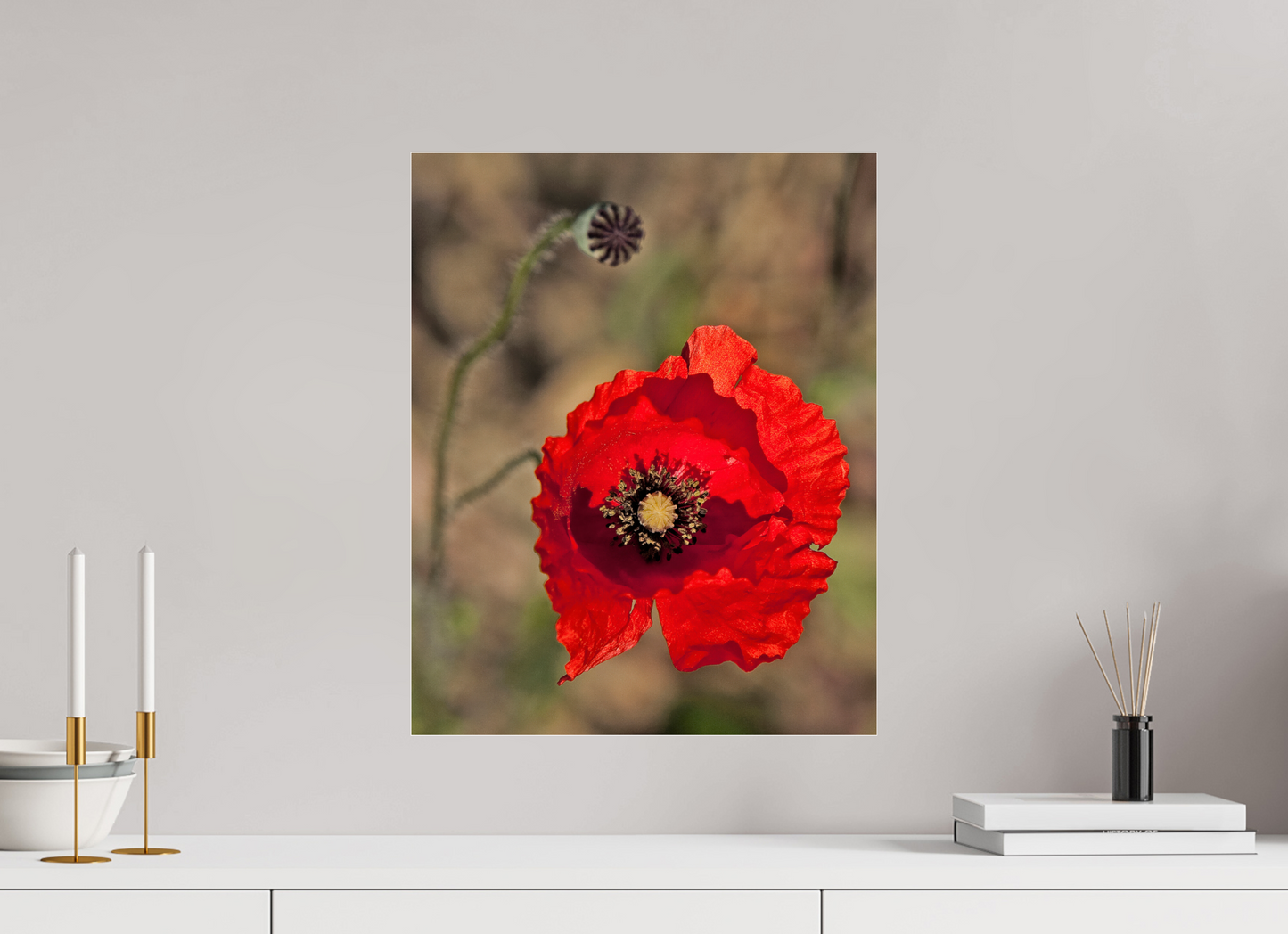 16 x 20″, Frameless Acrylic Glass Poppy