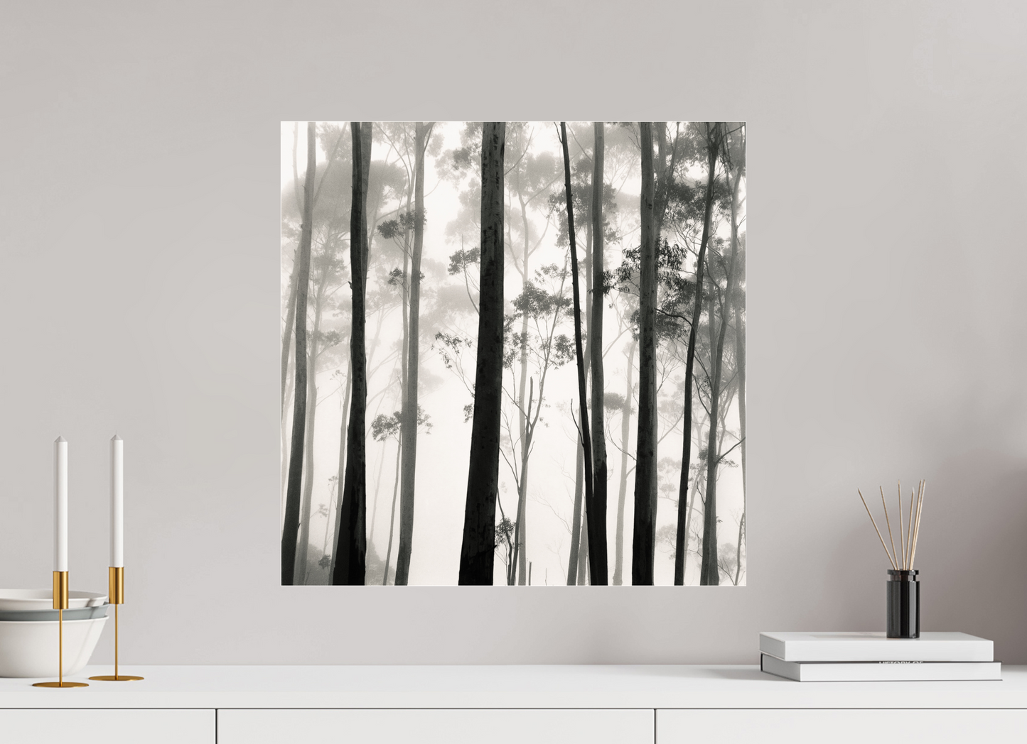 20 x 20″, Frameless Acrylic Glass Tilba Tilba Trees, Austrailia