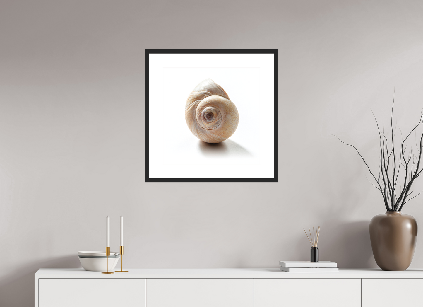 20 x 20″, Solid 0.8" Black Wood Frame With 3" Natural White Passe-Partout with Museum Glass Large Sea Shell