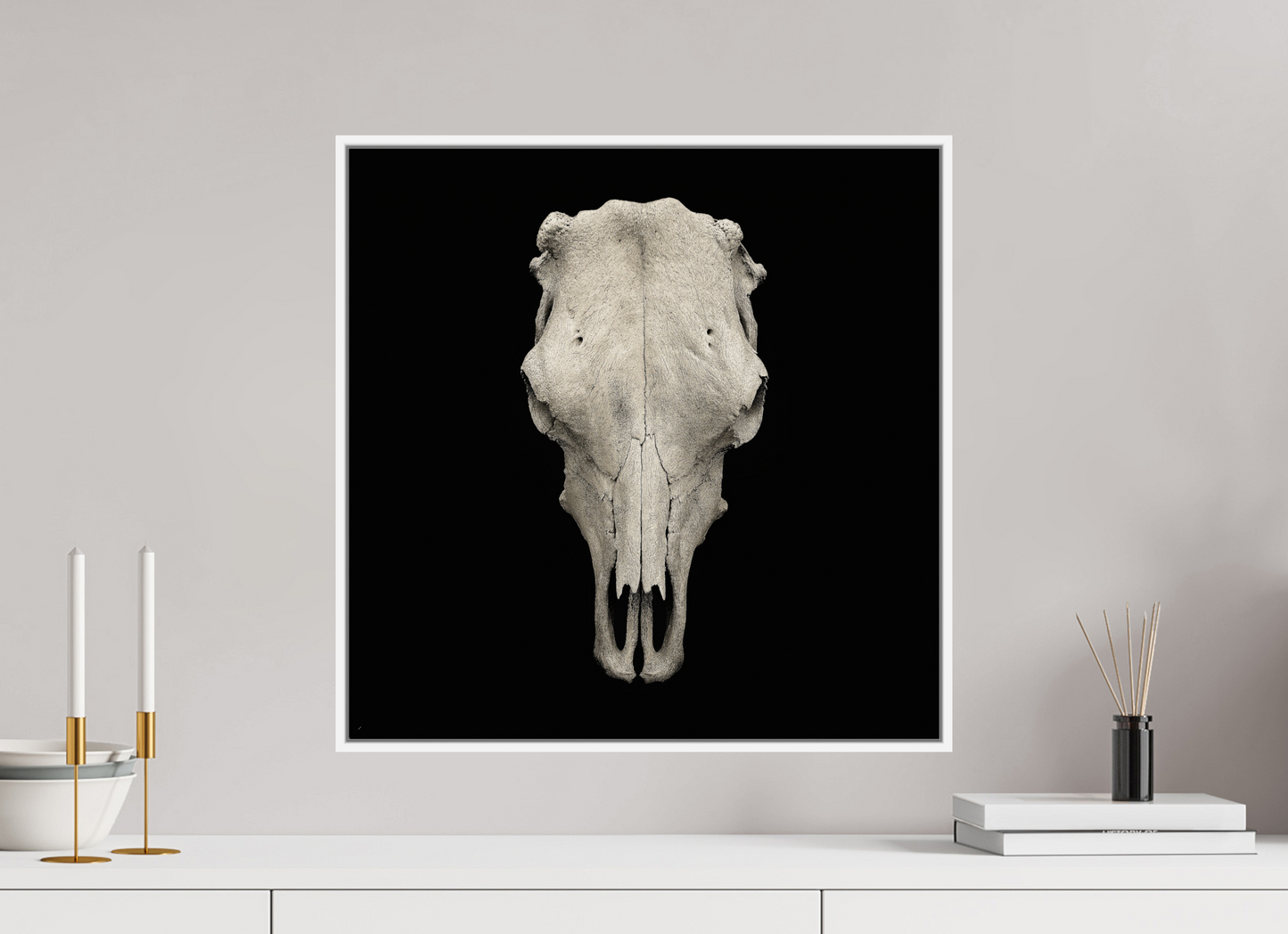 Cow Skull