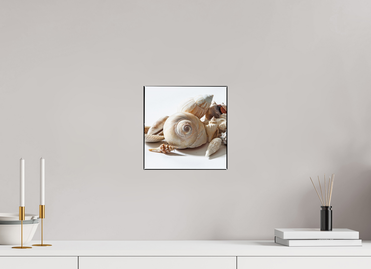 10 x 10″, Frameless Acrylic Glass Sea Shells
