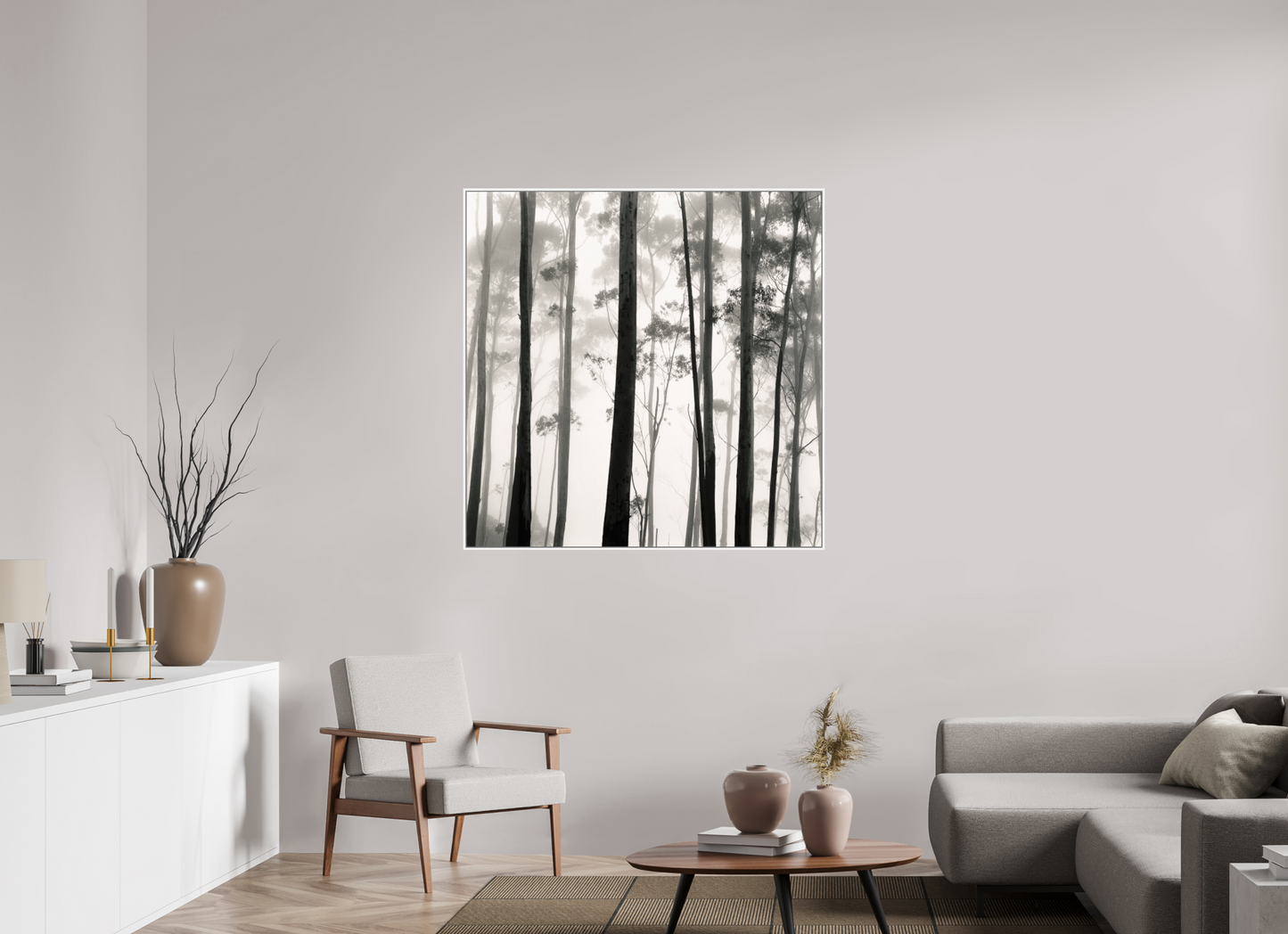 Tilba Tilba Trees, Austrailia