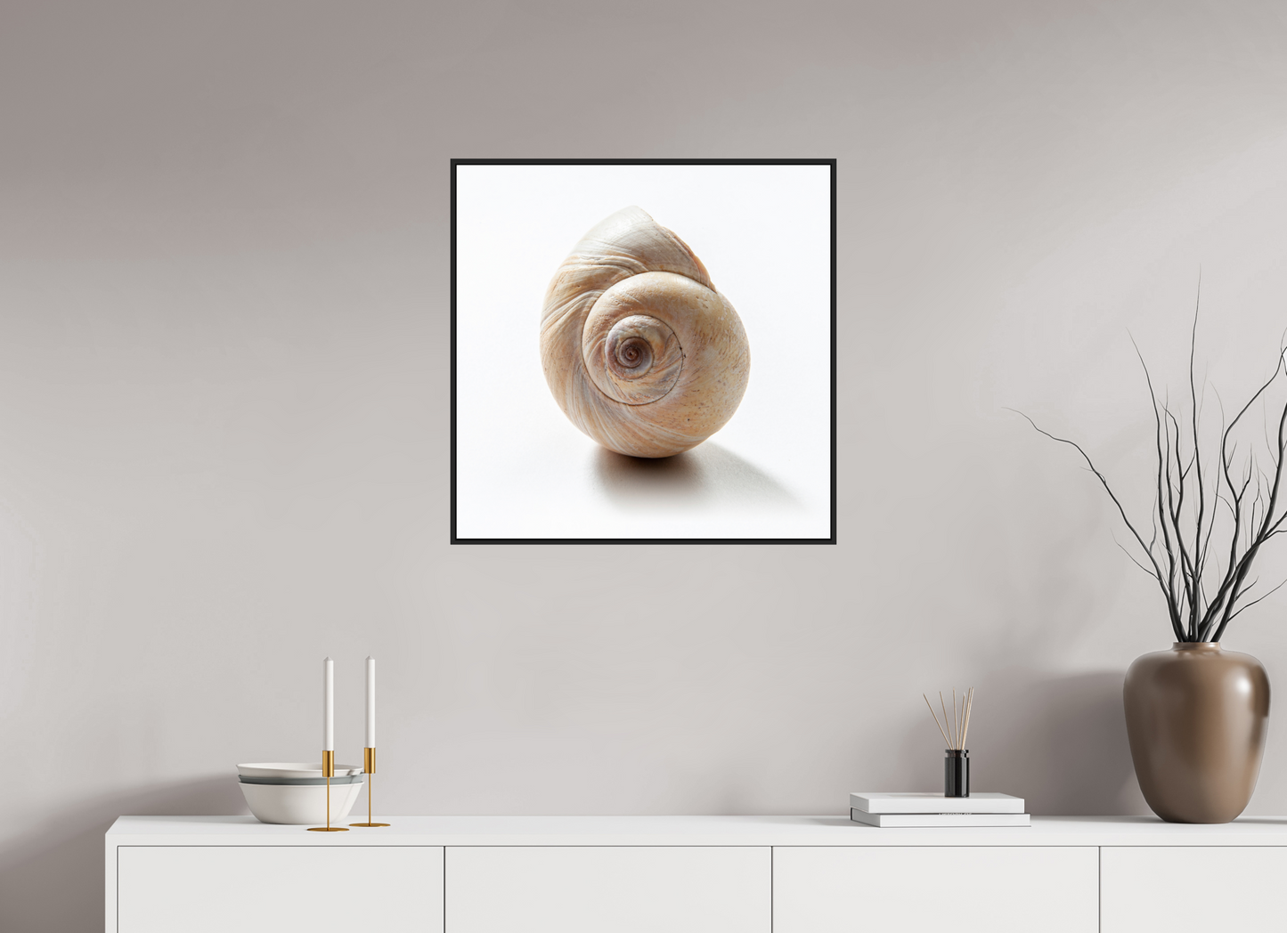 25 x 25″, Black Matte Frame, No Border Large Sea Shell