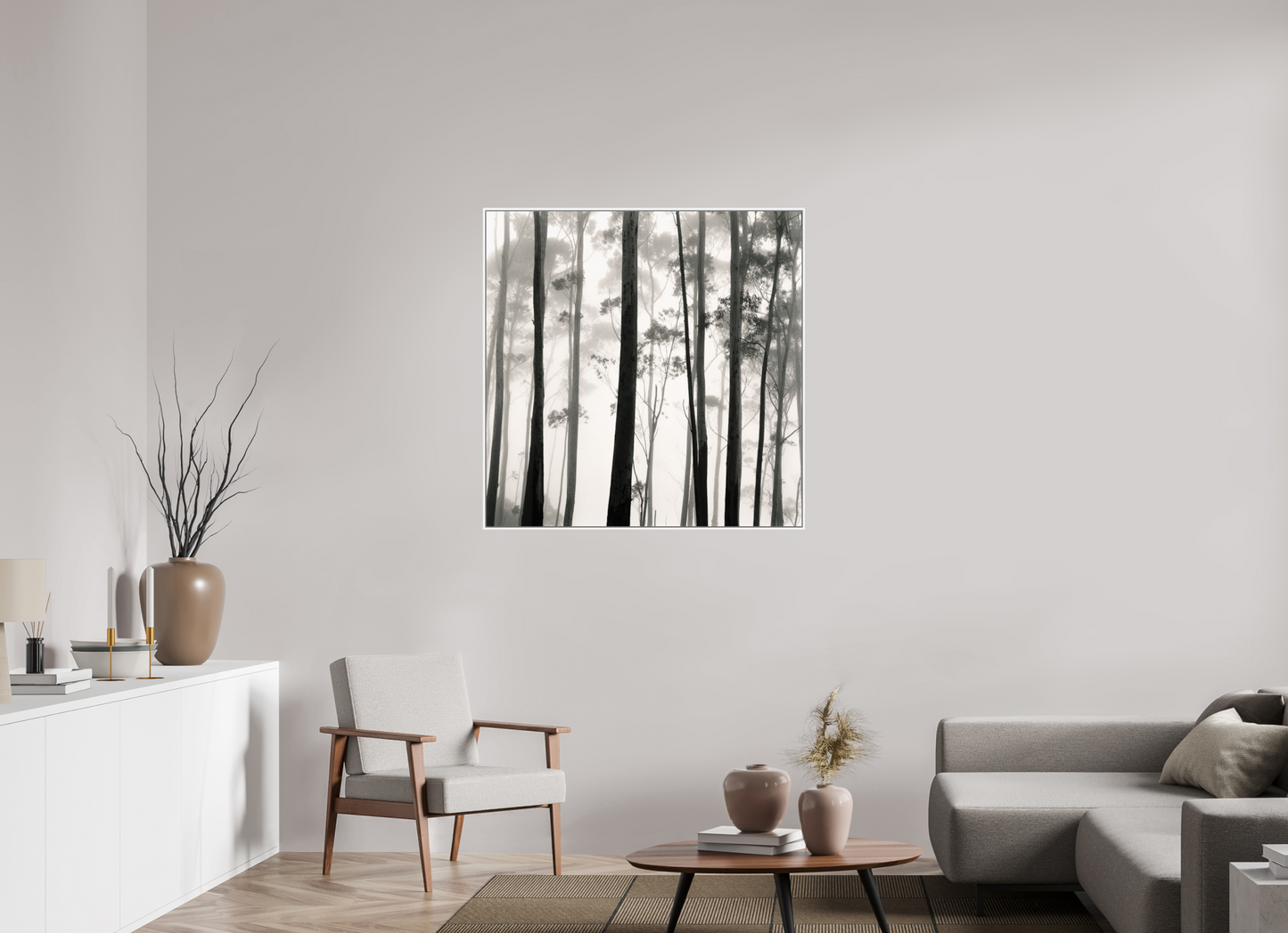 Tilba Tilba Trees, Austrailia