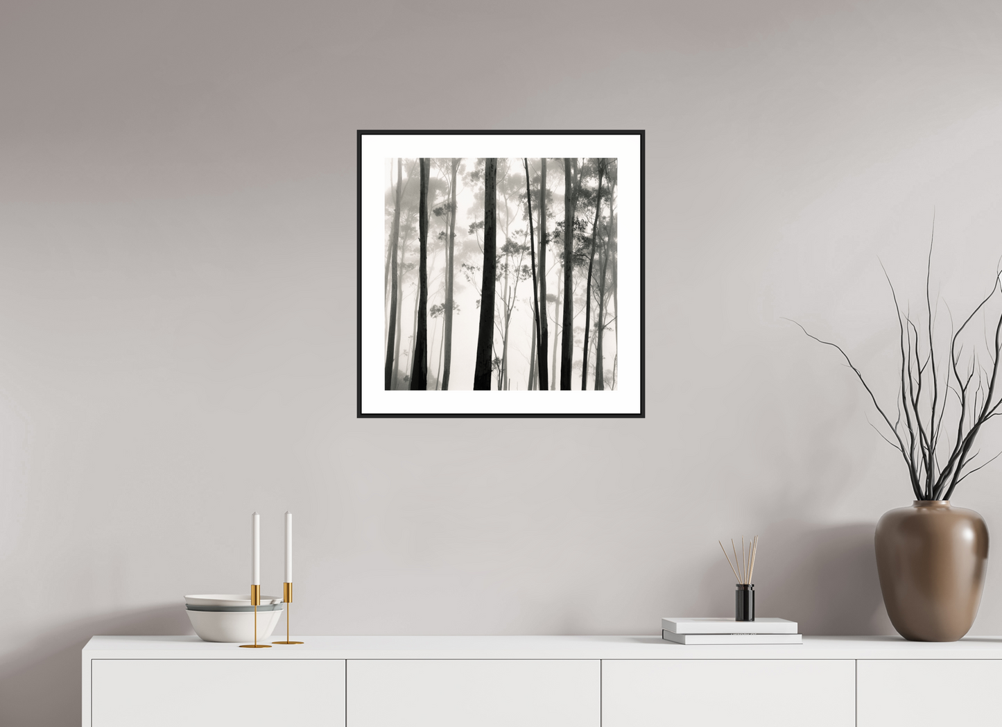 Tilba Tilba Trees, Austrailia