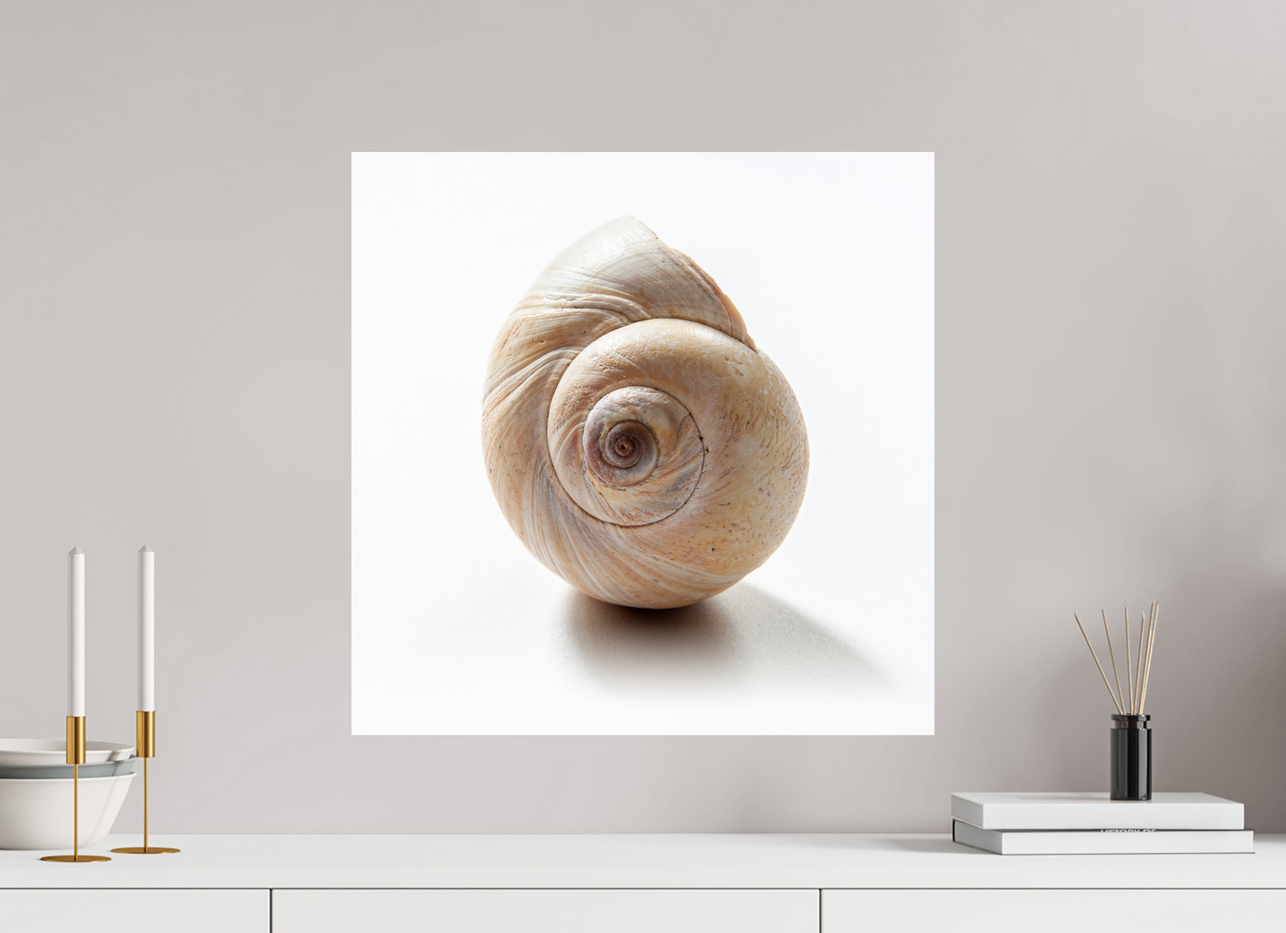 20 x 20″, Frameless Acrylic Glass Large Sea Shell