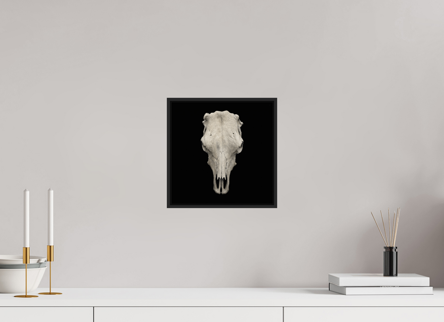 Cow Skull