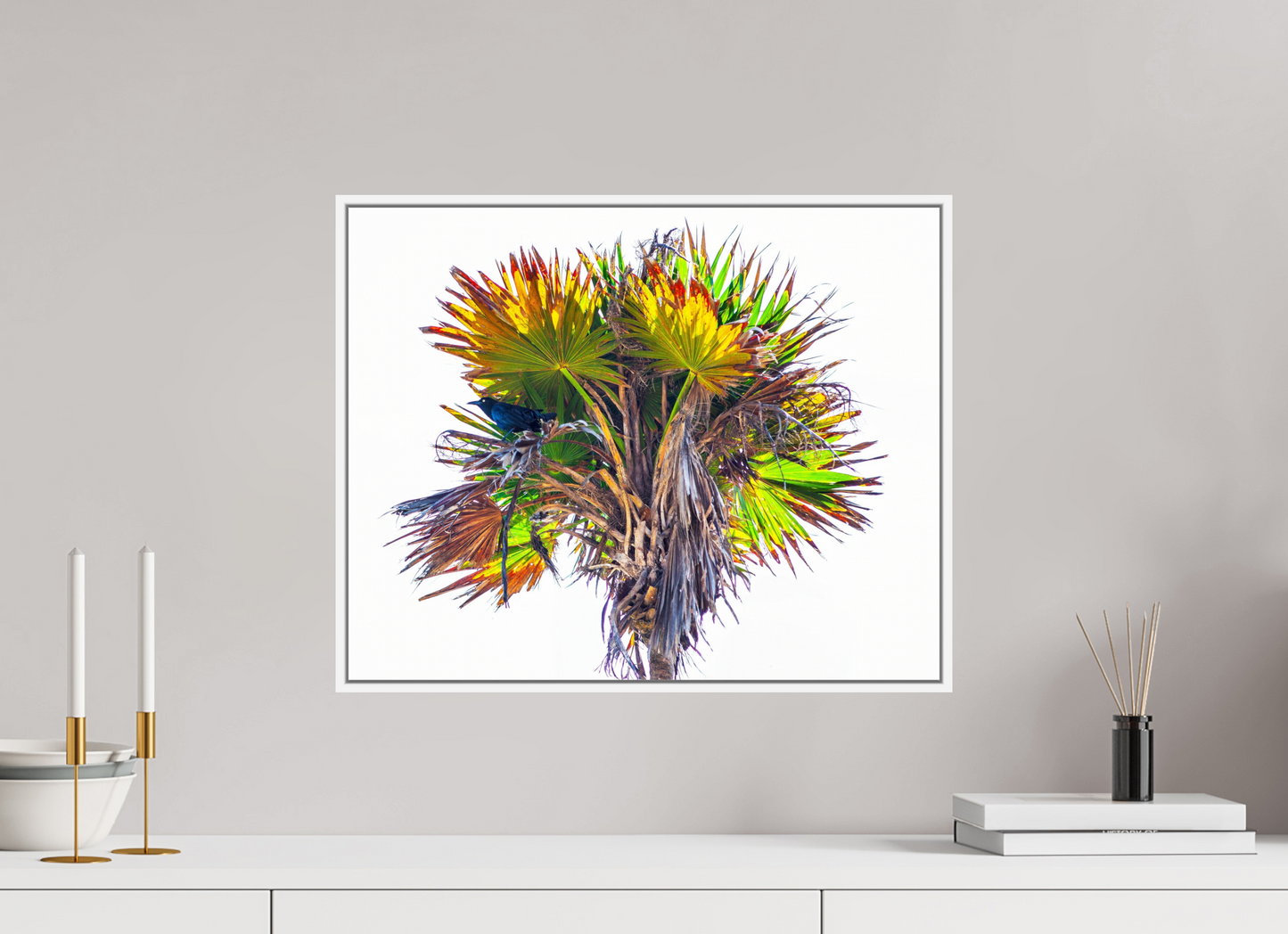 Black Bird in Palm Tree