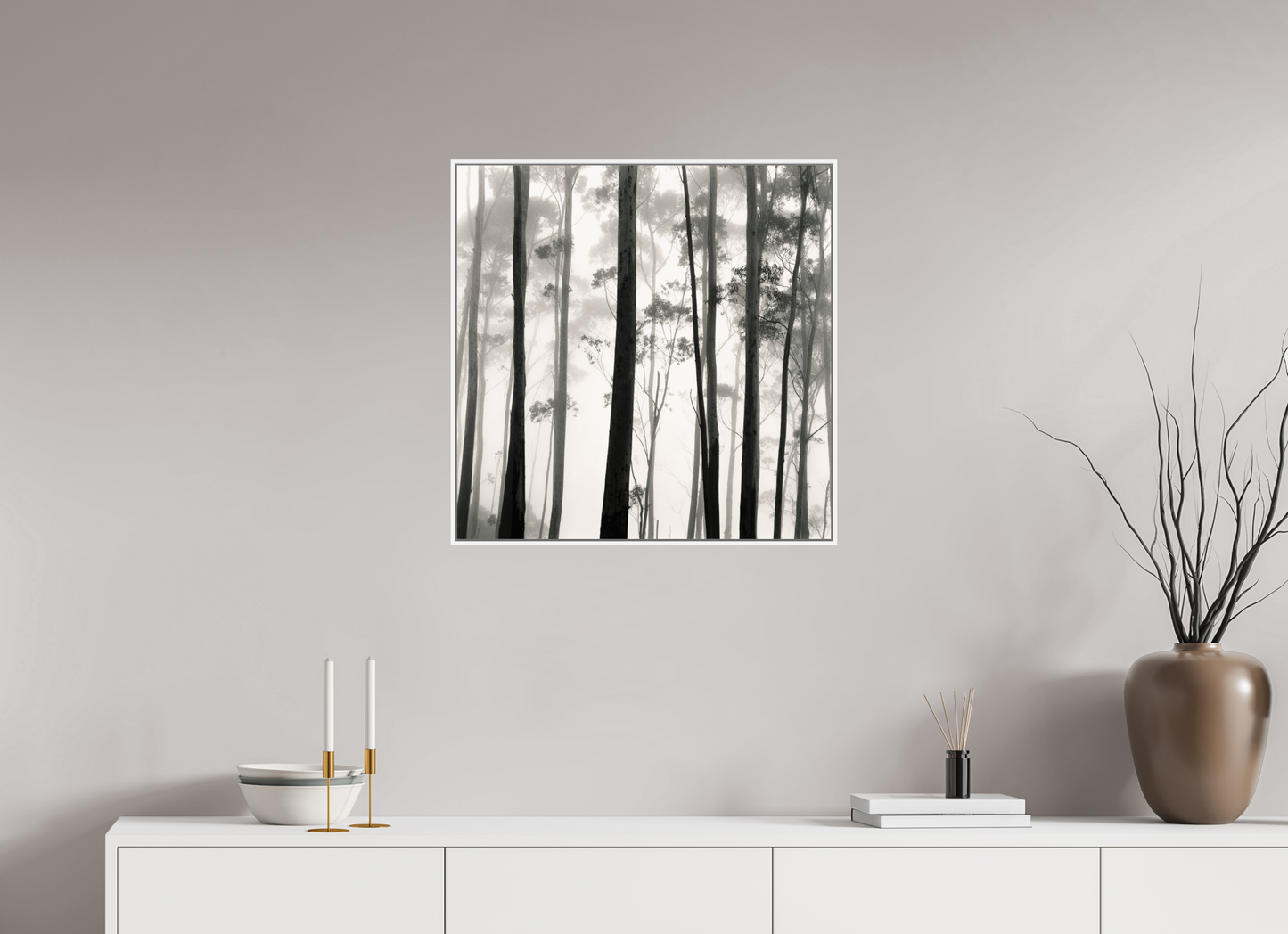 Tilba Tilba Trees, Austrailia