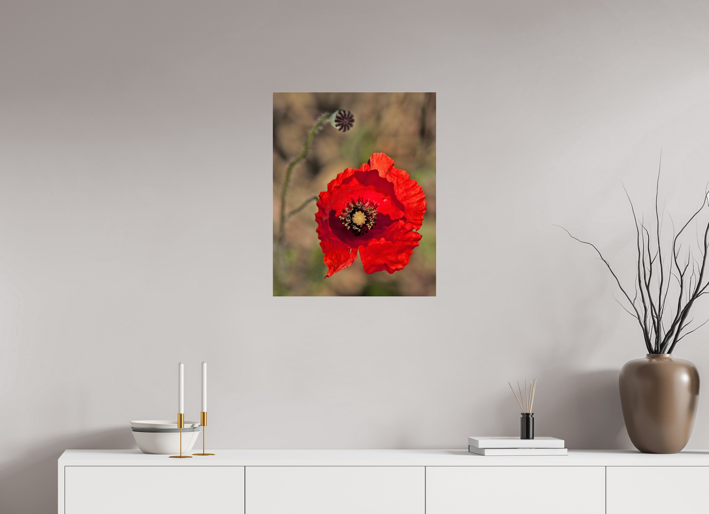 20 x 25″, Frameless Acrylic Glass Poppy