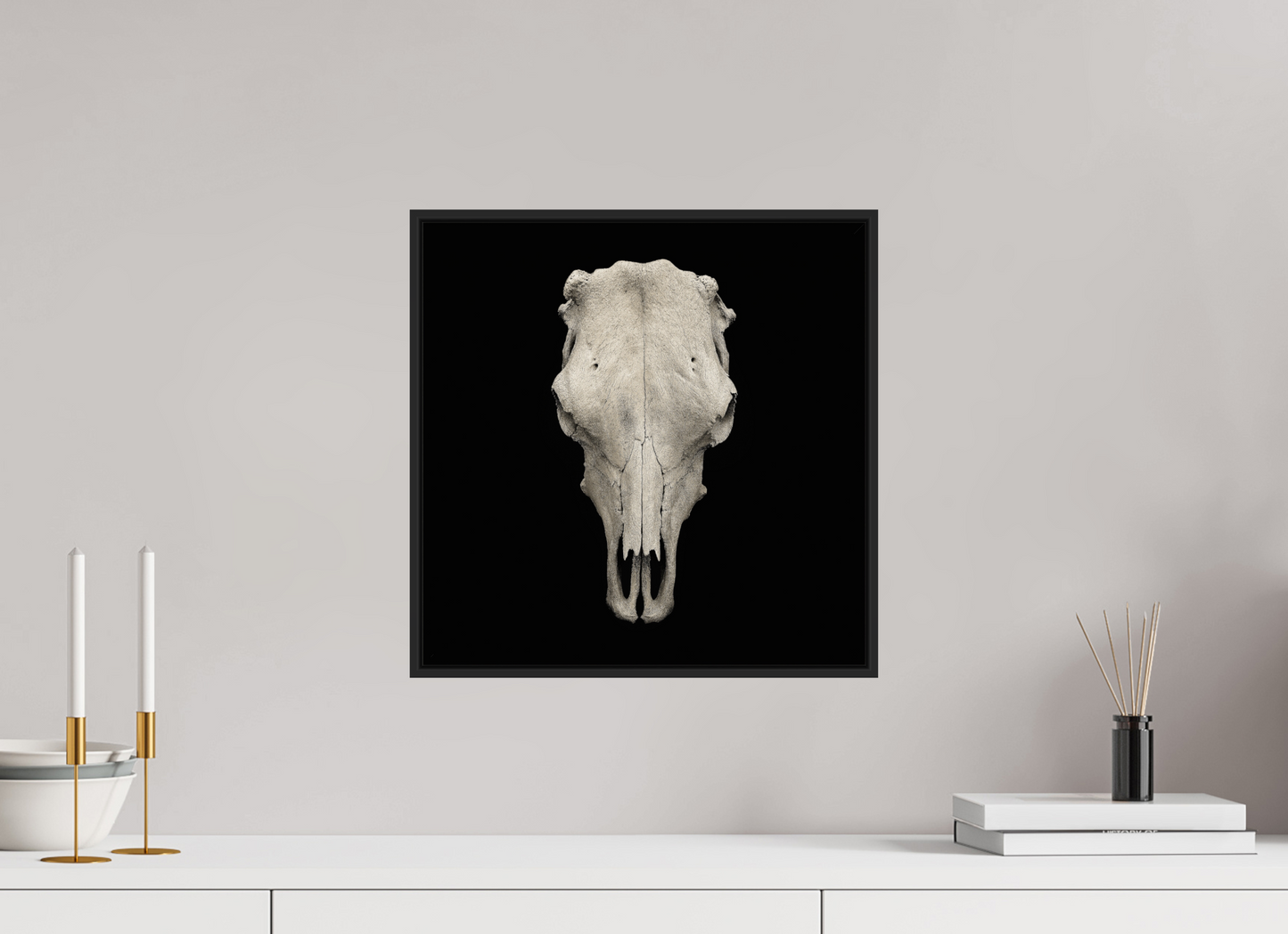 Cow Skull