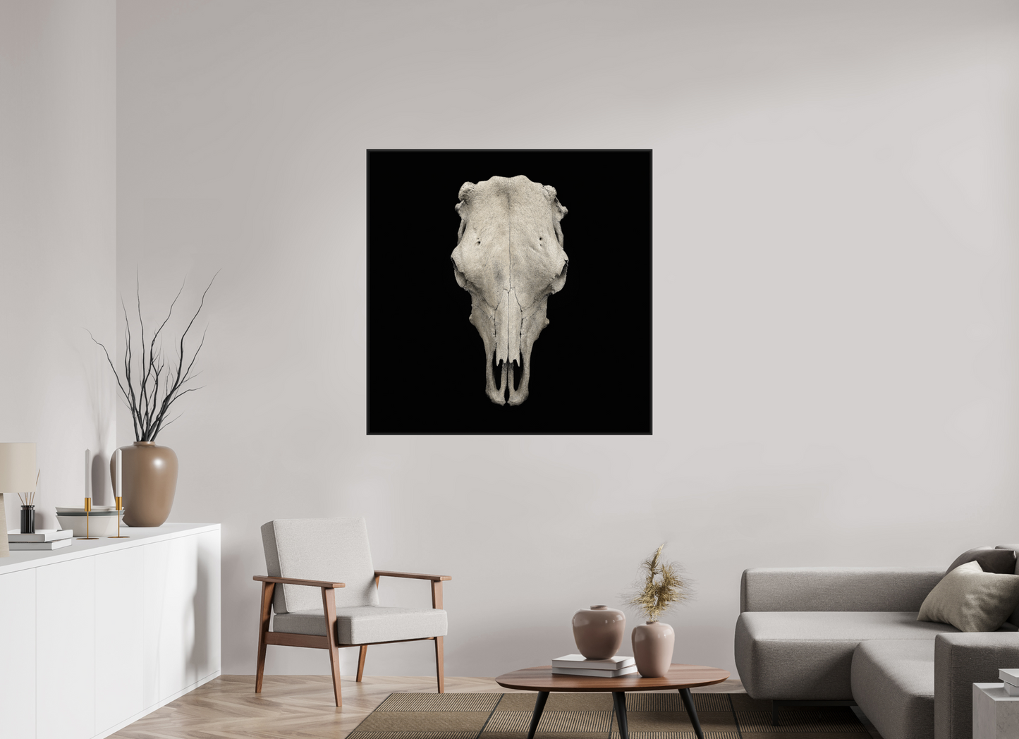 Cow Skull