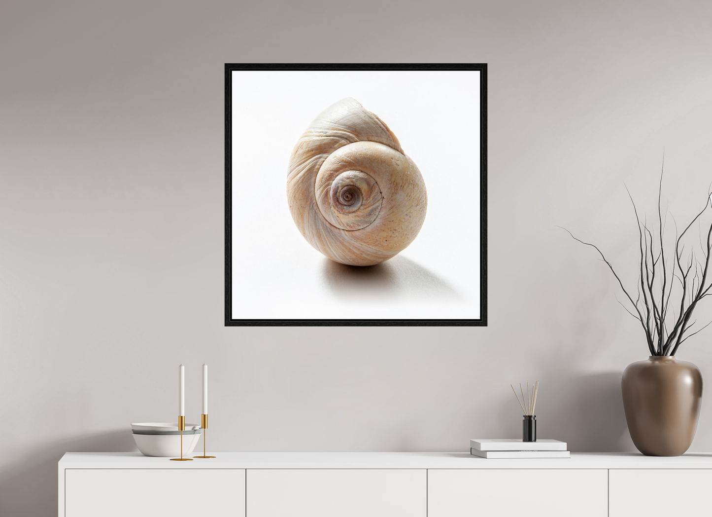 30 x 30″, Floater Frame Large Sea Shell