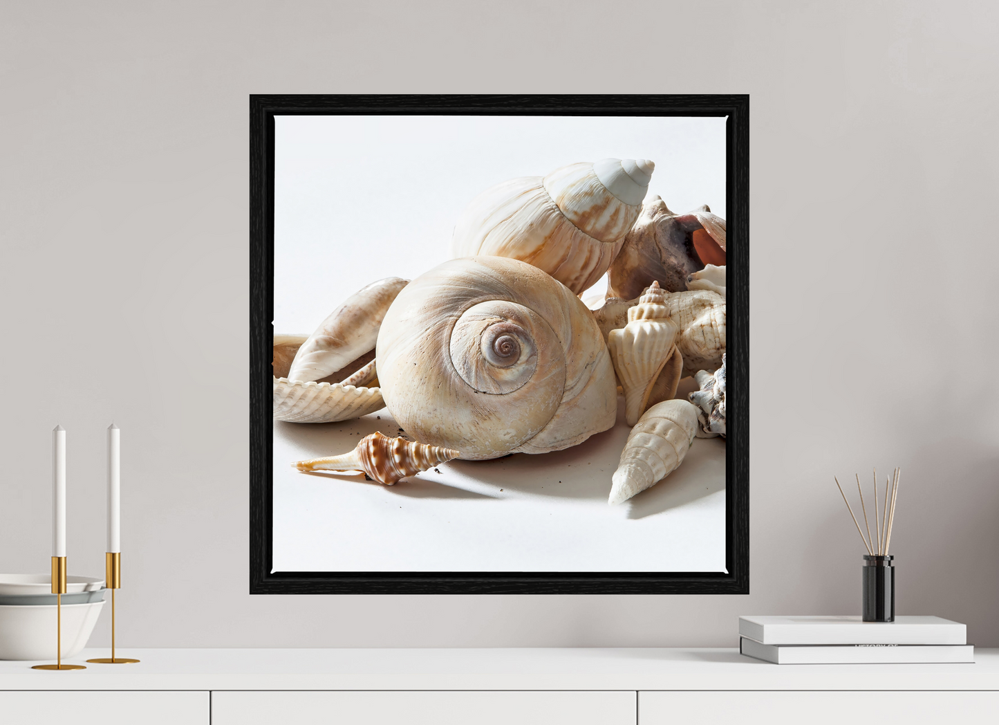 20 x 20″, Floater Frame Sea Shells