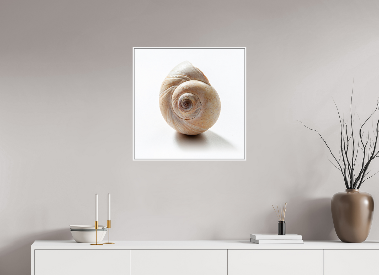 25 x 25″, White Matte Frame, No Border Large Sea Shell
