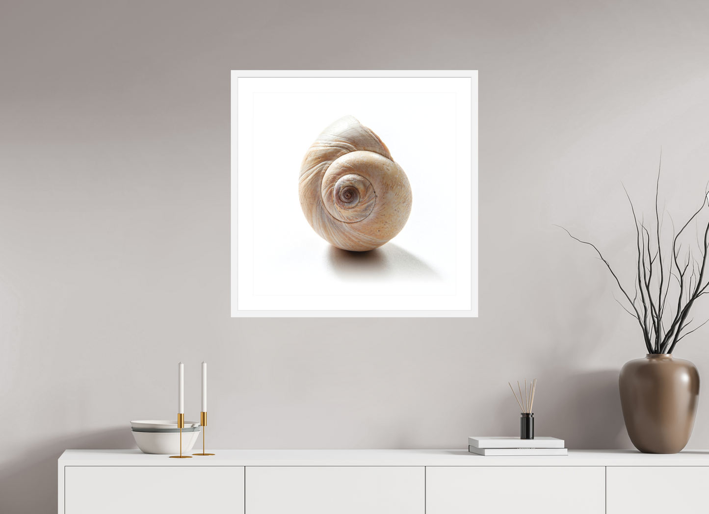 25 x 25″, Solid 0.8" White Wood Frame With 2" Natural White Passe-Partout with Museum Glass Large Sea Shell