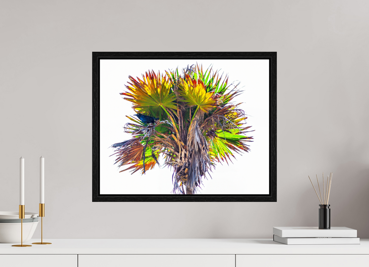 20 x 16″, Floater Frame Black Bird in Palm Tree