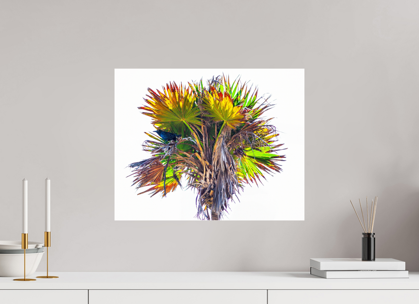 20 x 16″, Frameless Acrylic Glass Black Bird in Palm Tree