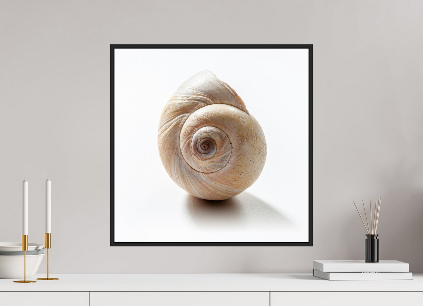 20 x 20″, Black Matte Frame, No Border Large Sea Shell