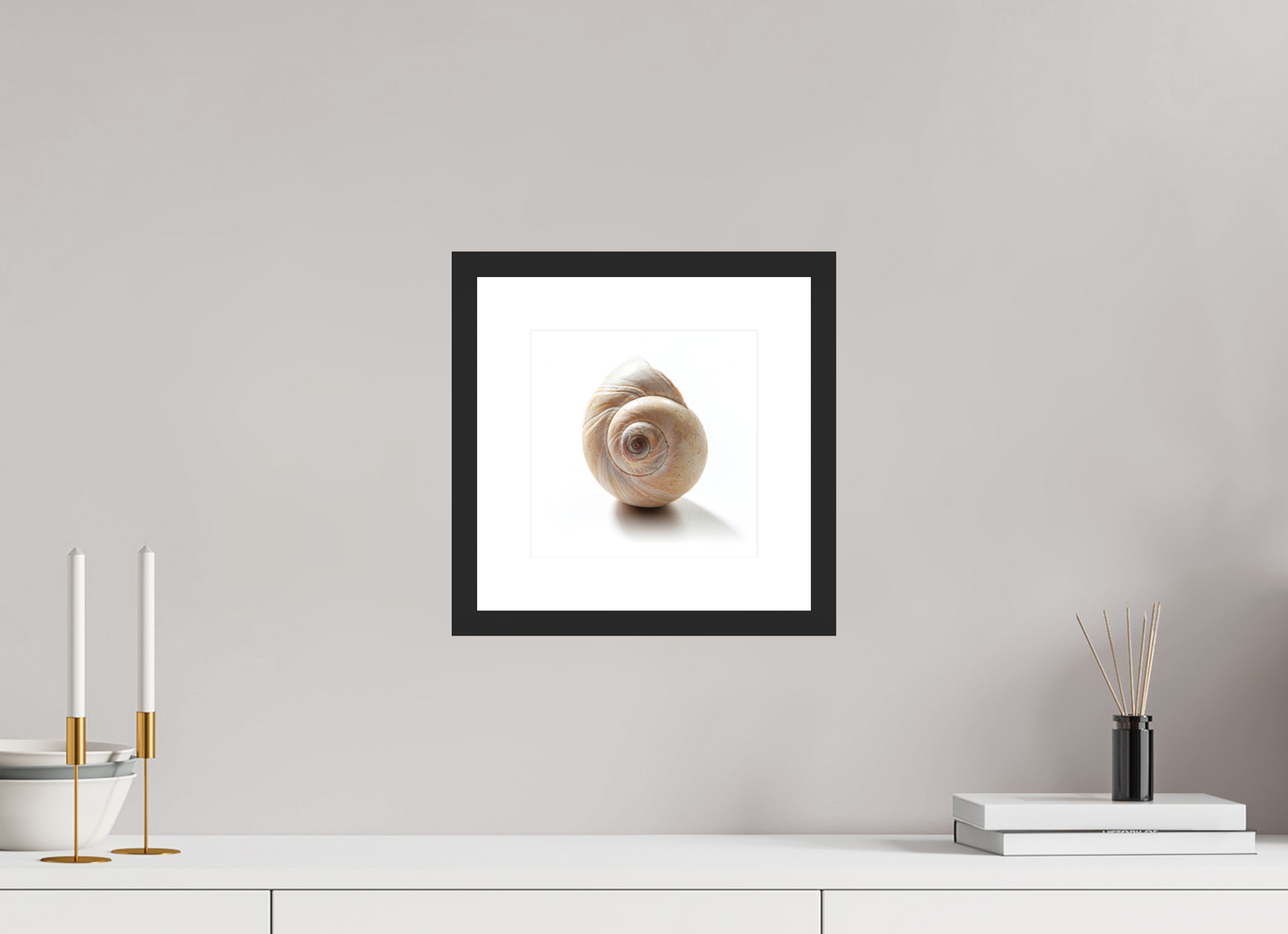 8 x 8″, Solid 0.8" Black Wood Frame With 2" Natural White Passe-Partout with Museum Glass Large Sea Shell
