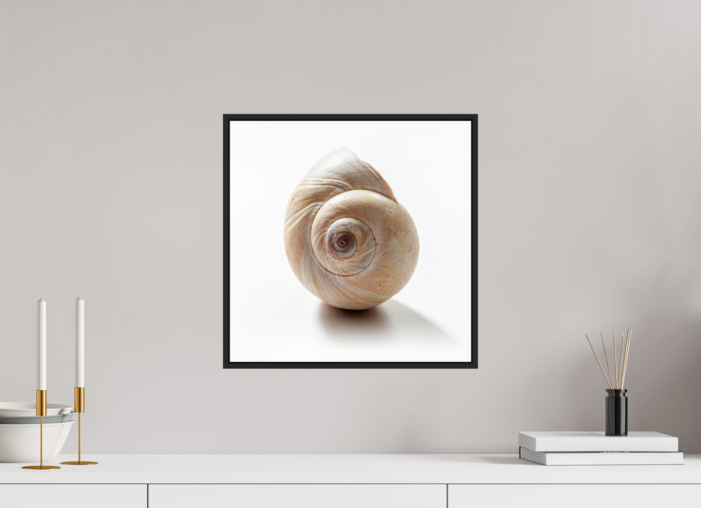 15 x 15″, Black Matte Frame, No Border Large Sea Shell
