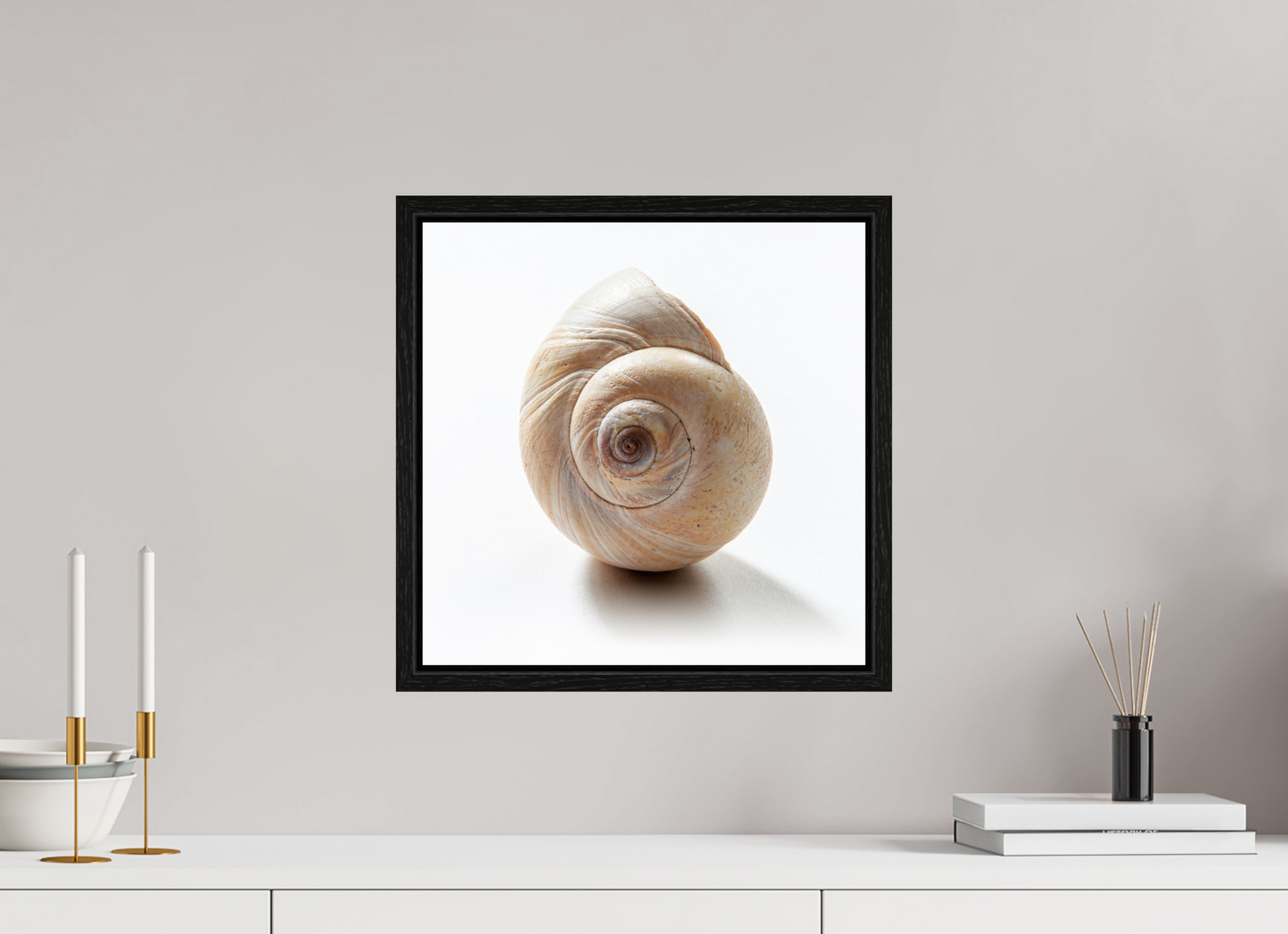 15 x 15″, Floater Frame Large Sea Shell