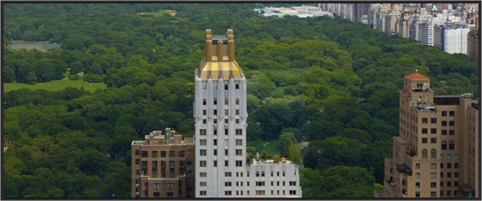 Barbizon Plaza Hotel and Central Park