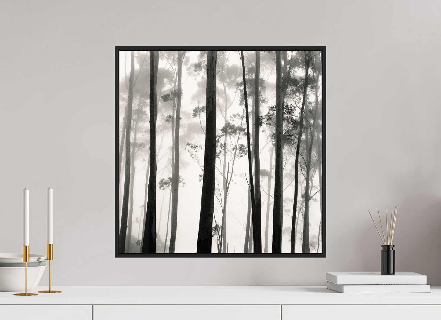 Tilba Tilba Trees, Austrailia