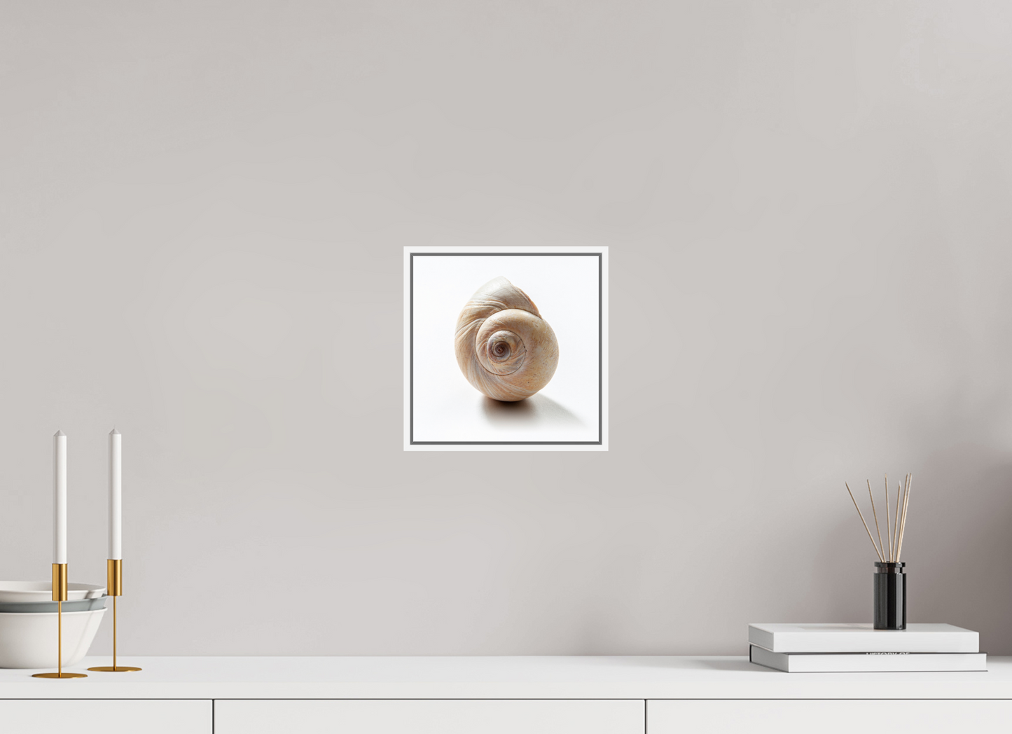 8 x 8″, White Matte Frame, No Border Large Sea Shell