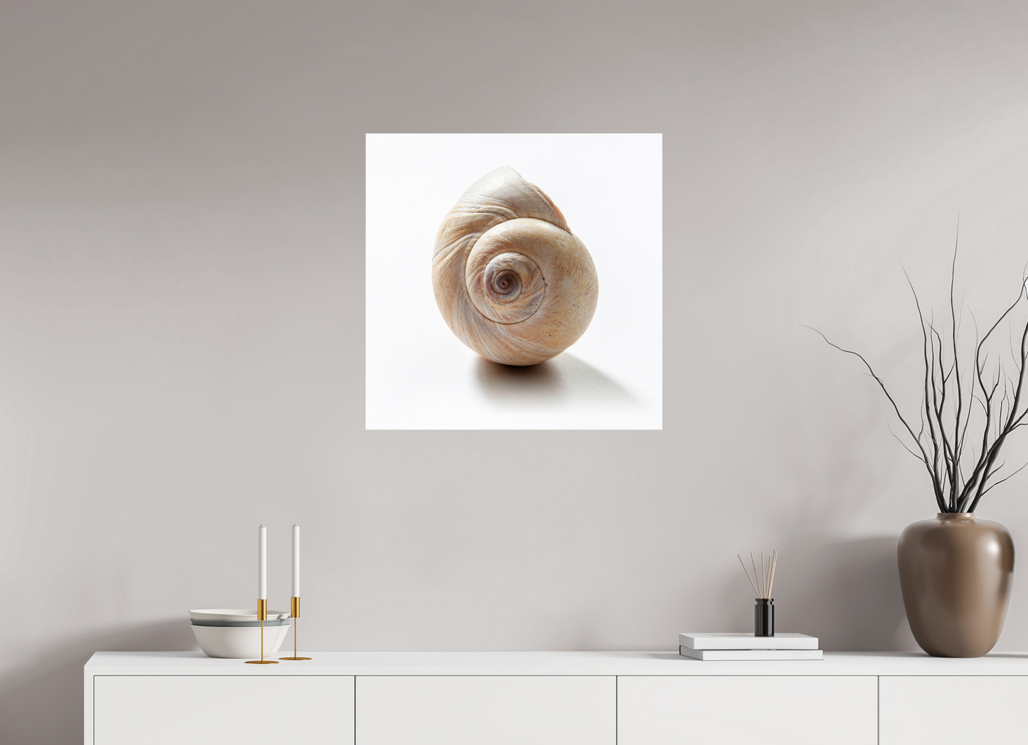 25 x 25″, Frameless Acrylic Glass Large Sea Shell