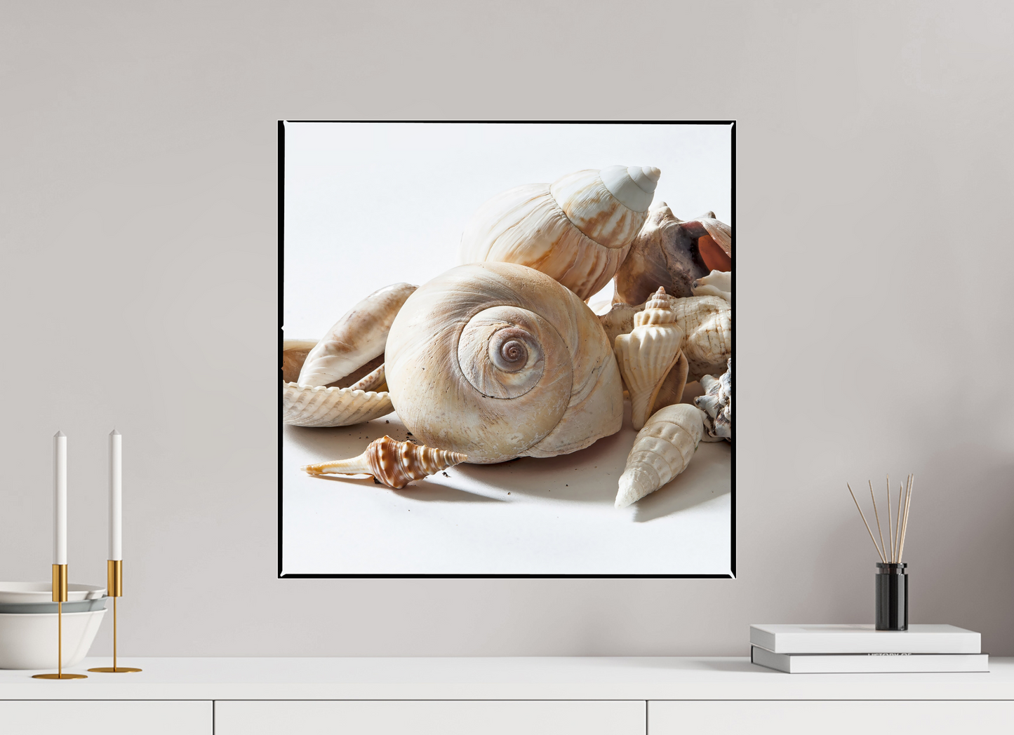 20 x 20″, Frameless Acrylic Glass Sea Shells