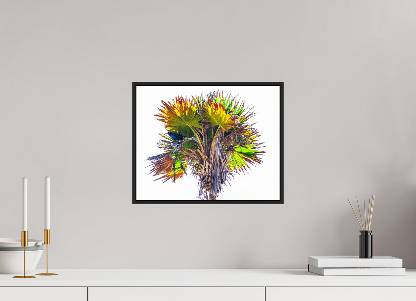 Black Bird in Palm Tree