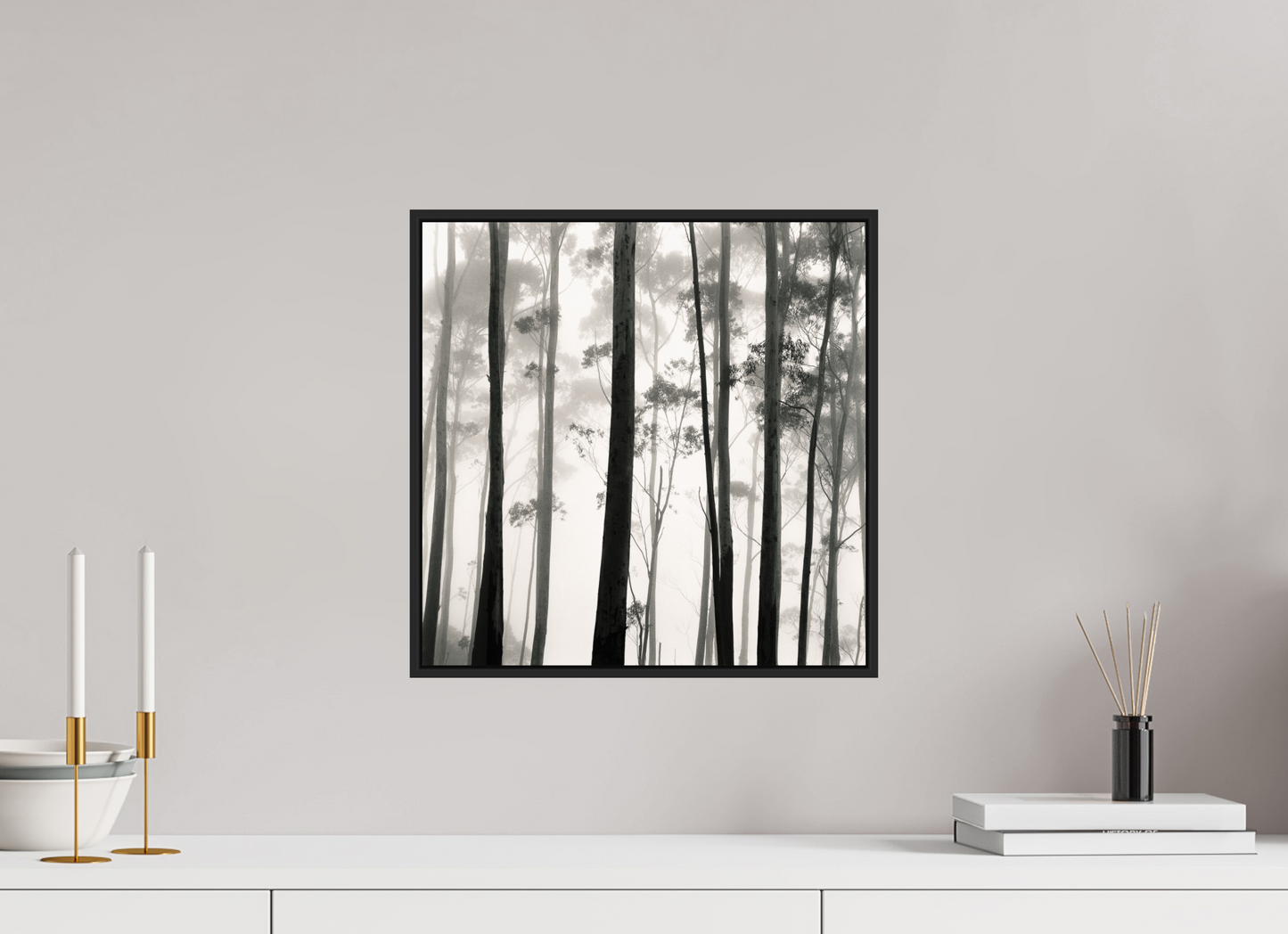 Tilba Tilba Trees, Austrailia