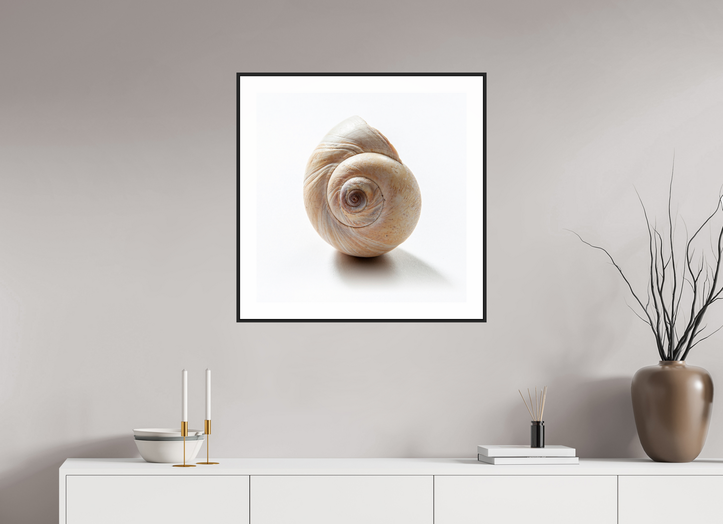 25 x 25″, Black Matte Frame Large Sea Shell