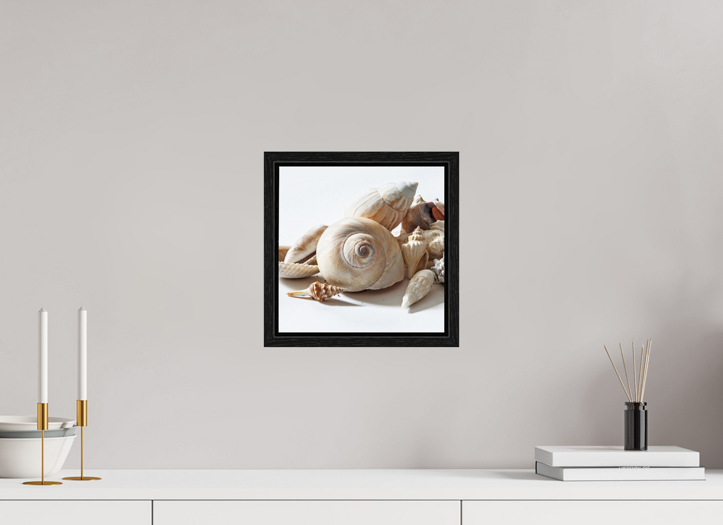 10 x 10″, Floater Frame Sea Shells