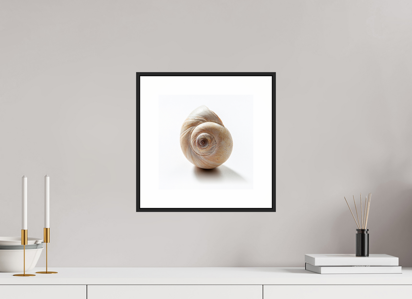 10 x 10″, Black Matte Frame Large Sea Shell