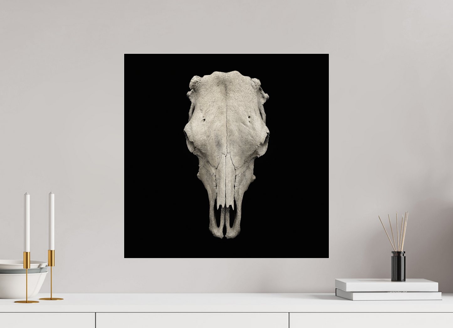 20 x 20″, Frameless Acrylic Glass Cow Skull