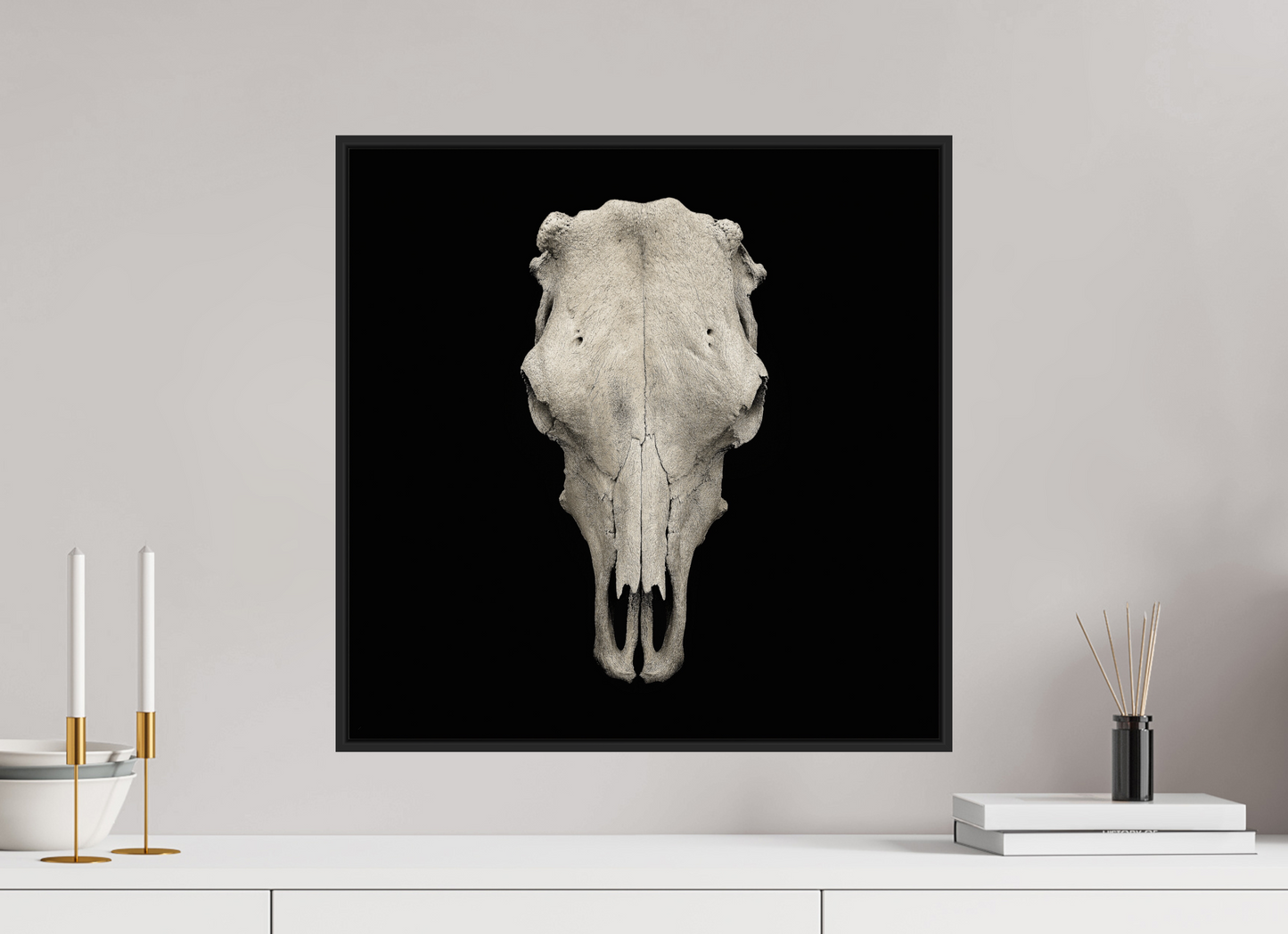 Cow Skull