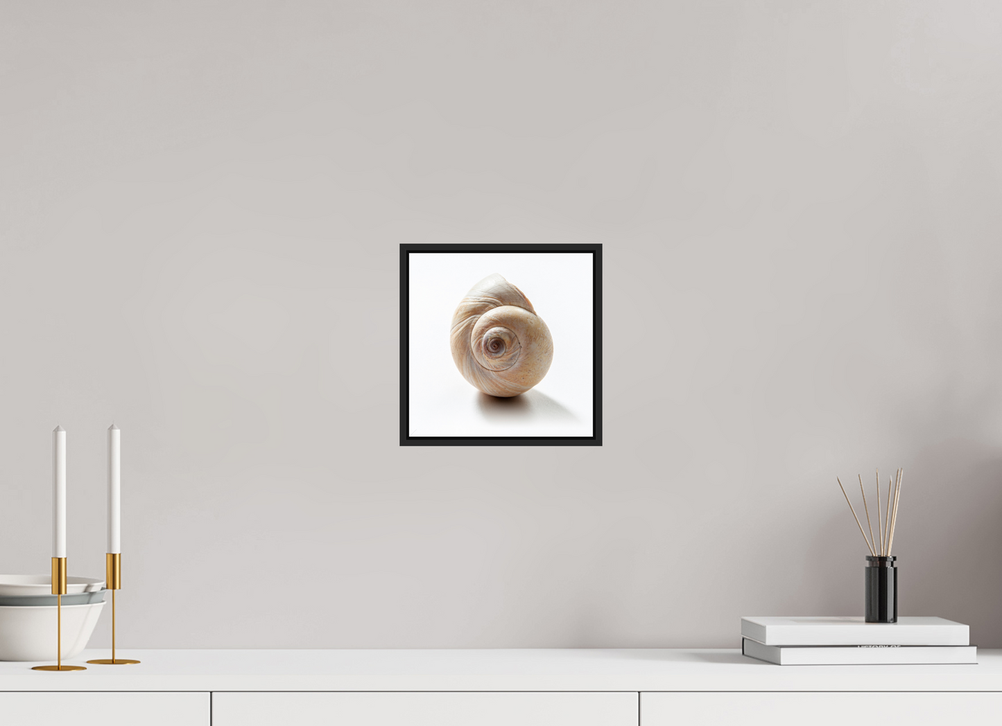 8 x 8″, Black Matte Frame, No Border Large Sea Shell