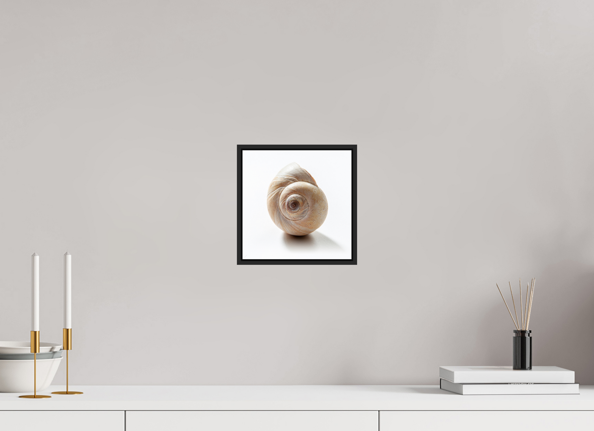 8 x 8″, Black Matte Frame, No Border Large Sea Shell